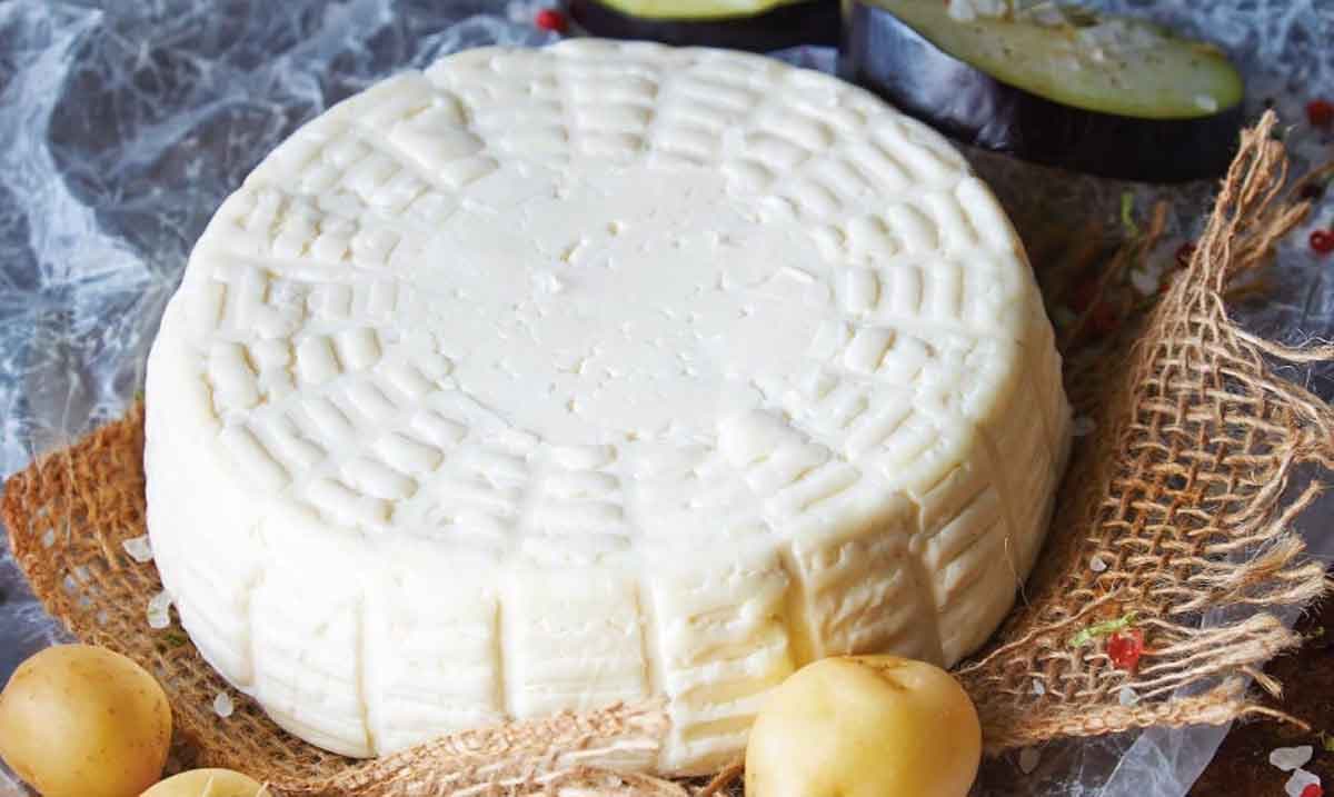 Sabores de tradición: Explora las rutas del vino y el queso cerca de Tlaquiltenango, Morelos